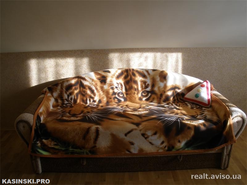 Продаж будинку. Трускавець. Львівська область-41