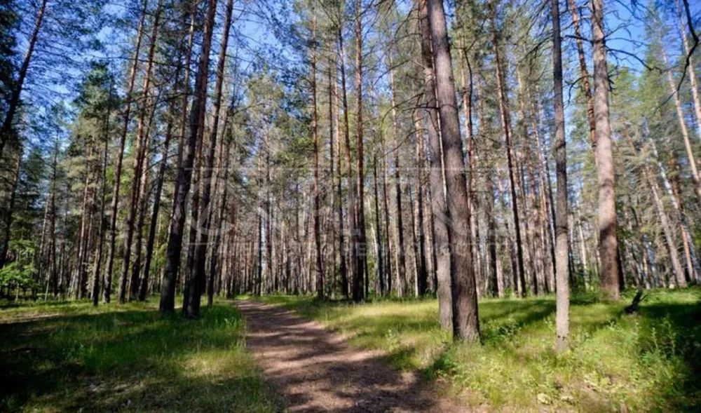 Продаж будинку. Київ. Київська область-8