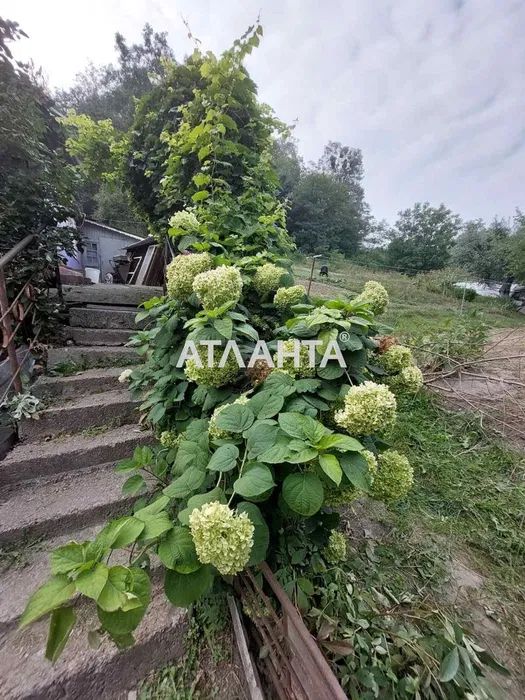 Продаж будинку. Київ. Київська область-16