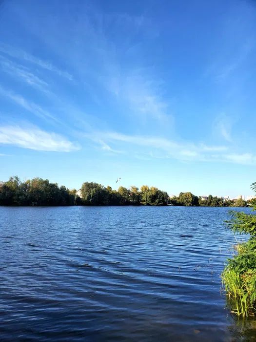 Продаж будинку. Київ. Київська область-16