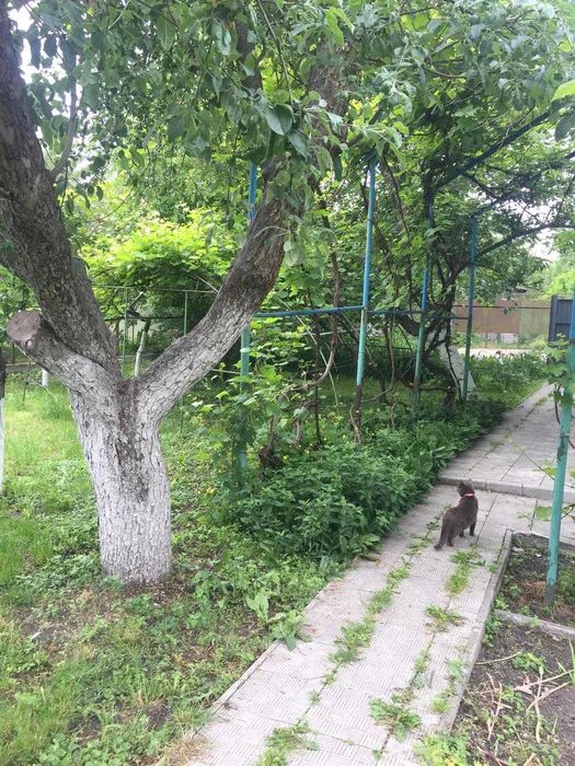 Продаж будинку. Київ. Київська область-5