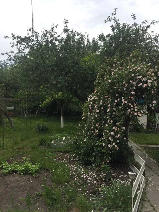 Продаж будинку. Київ. Київська область-6