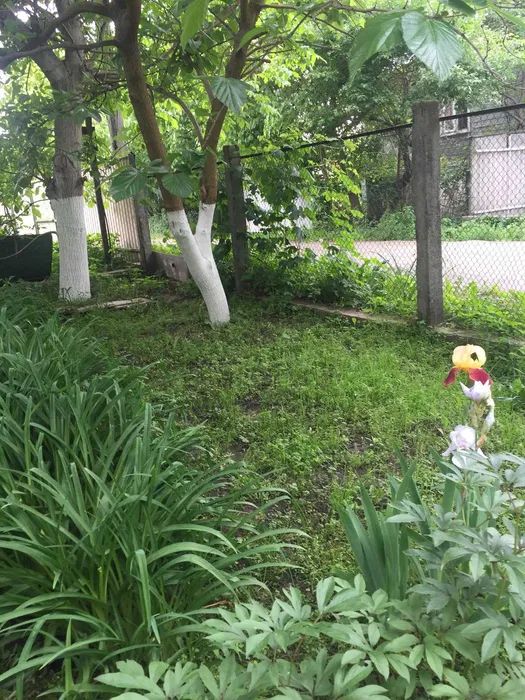 Продаж будинку. Київ. Київська область-21