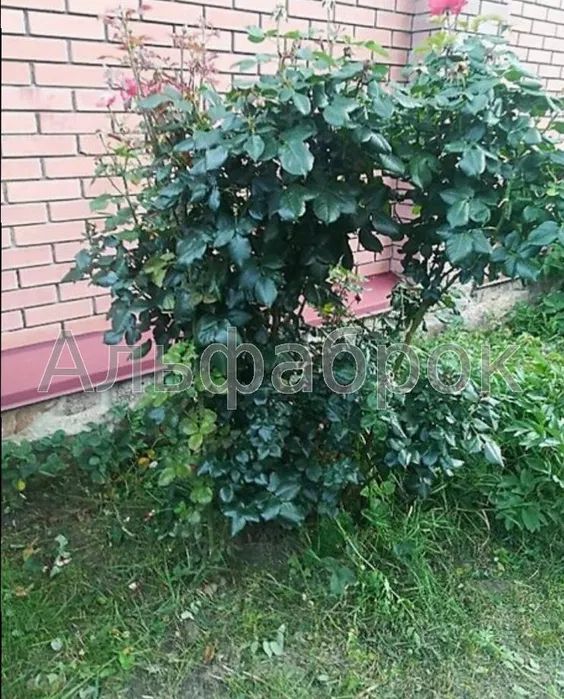 Продаж будинку. Київ. Київська область-10