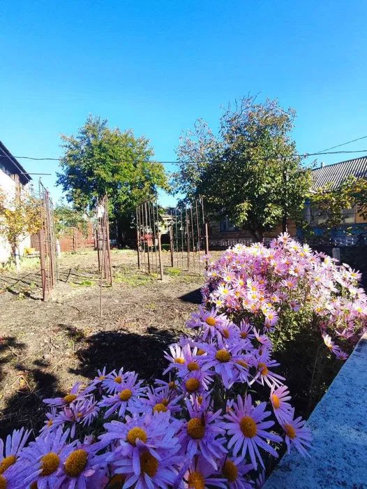 Продаж будинку. Київ. Київська область-1