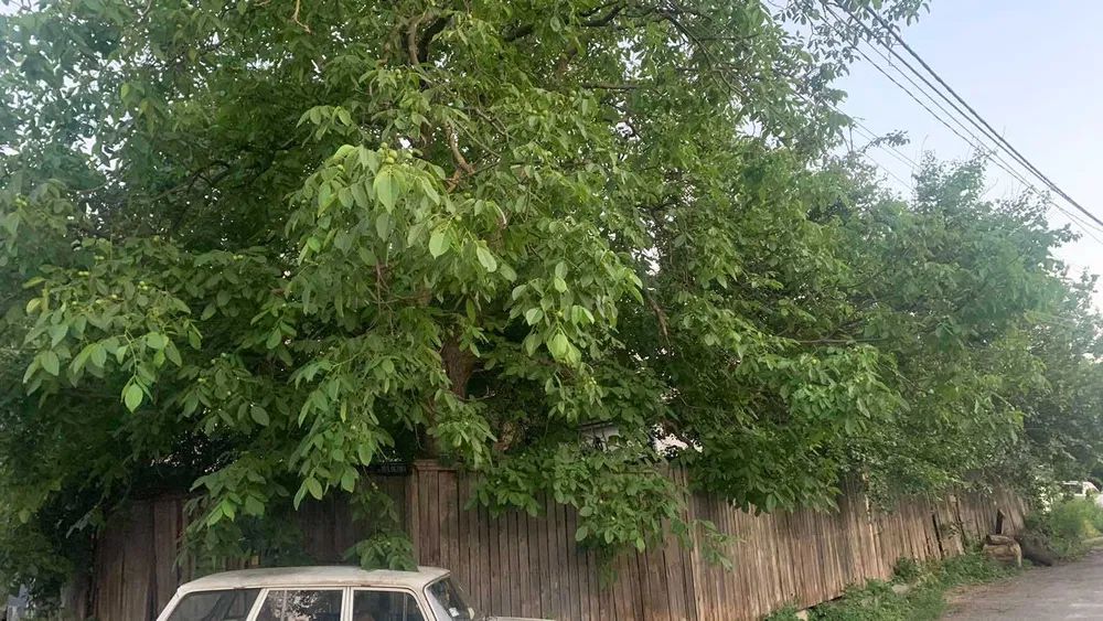 Продаж будинку. Київ. Київська область-3